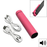 3-in-1 PowerTube 4000mAh Portable Speaker Power Bank