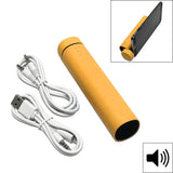 3-in-1 PowerTube 4000mAh Portable Speaker Power Bank